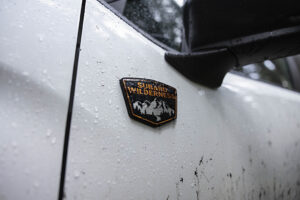 26TDI_FORWpl017.tif