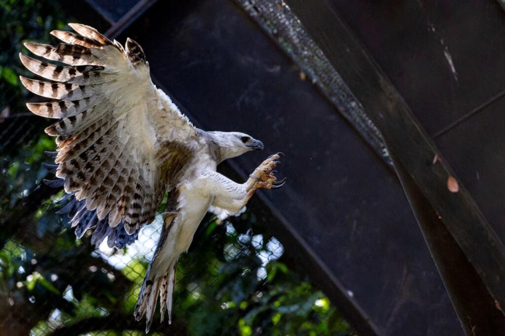 3 NPS Ramón Fregoso