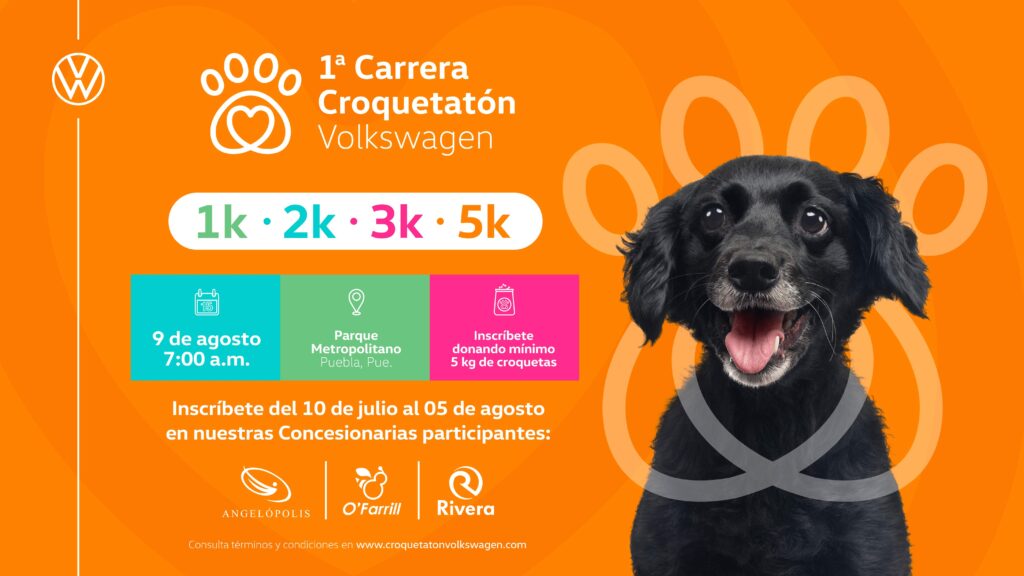 1ªCarrera-CROQUETATÓN
